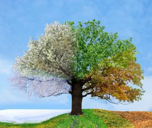 Fall into Spring